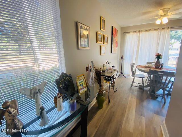 113 Molokai, Unit D Diamondhead, MS 39525 - Photo 6 of 21 IMG_5478