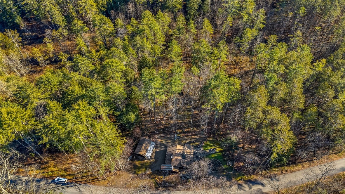 120 Rod And Gun Club Road Unadilla, NY 13849 - Photo 49 of 50