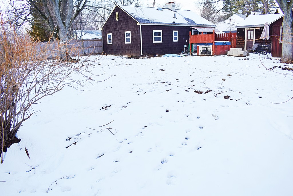 5 Ansara Street Springfield, MA 01104 - Photo 13 of 14 a view of house with a snow in yard