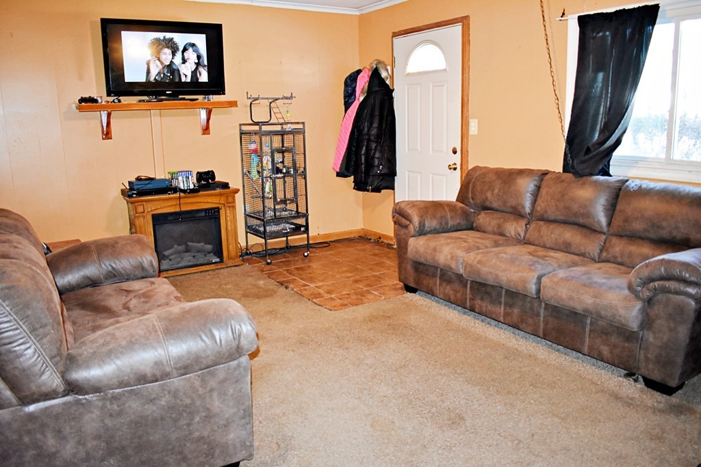 5 Ansara Street Springfield, MA 01104 - Photo 7 of 14 a living room with furniture and a fireplace