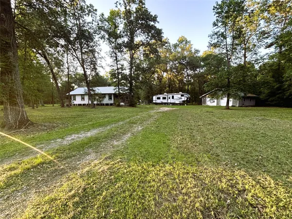 a view of a field with a tree
