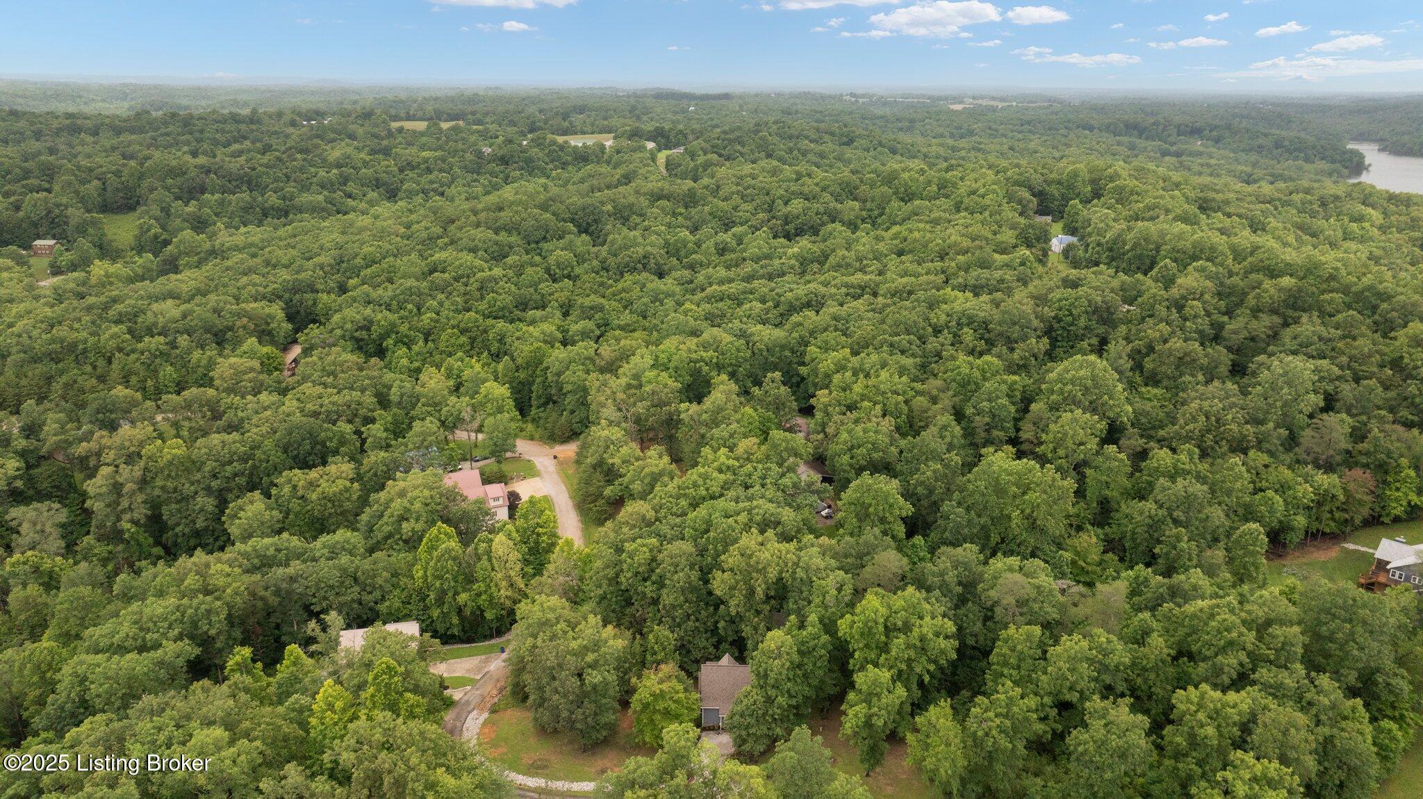 171 Cedar Point Road Bee Spring, KY 42207 - Photo 33 of 42 6-web-or-mls-DJI_20250619080754_0934_D