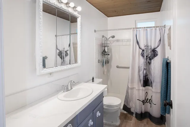 a bathroom with a sink vanity mirror and toilet
