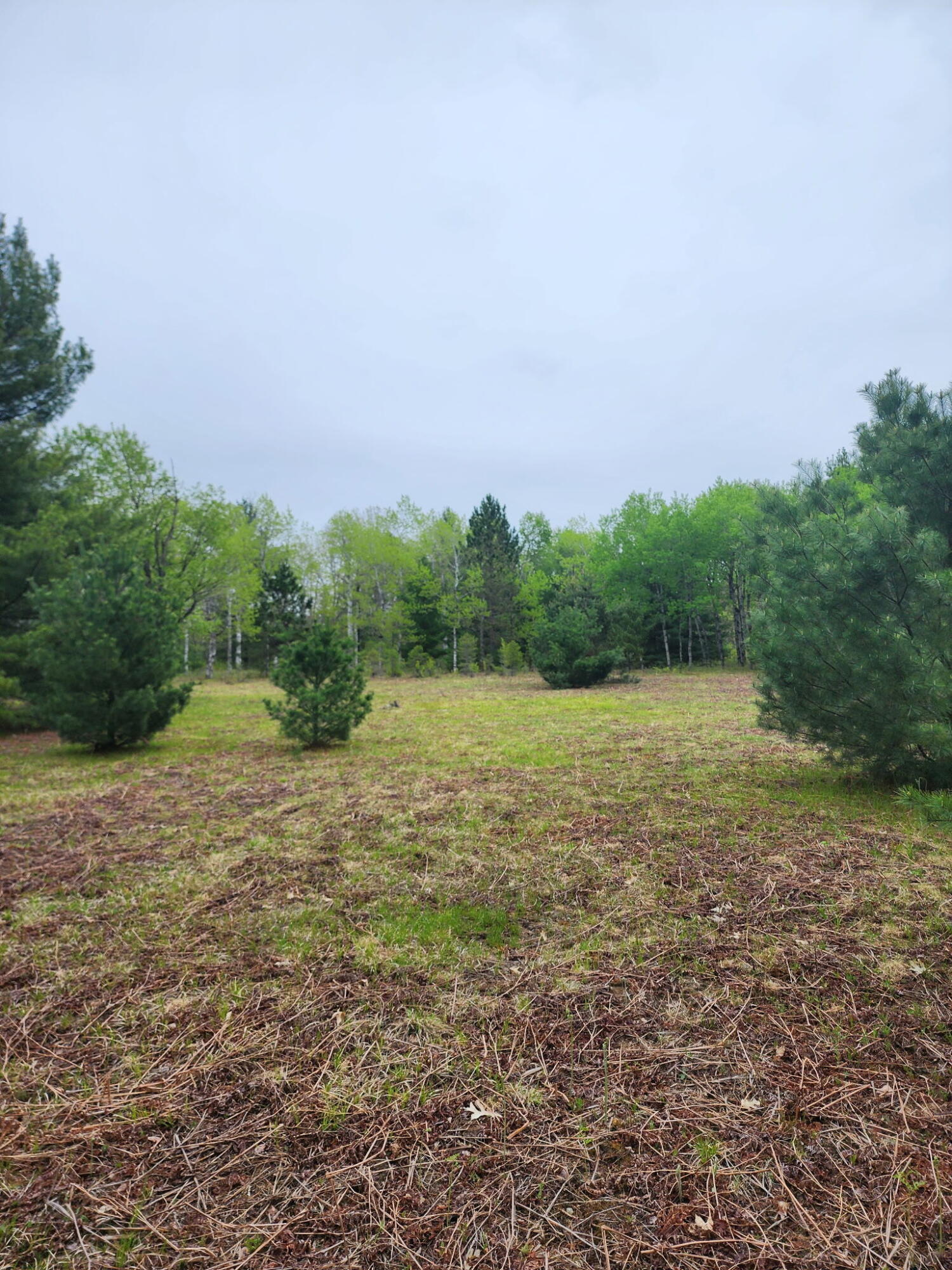 0 Hall Creek Road Interlochen, MI 49643 - Photo 8 of 14 20260524_094306