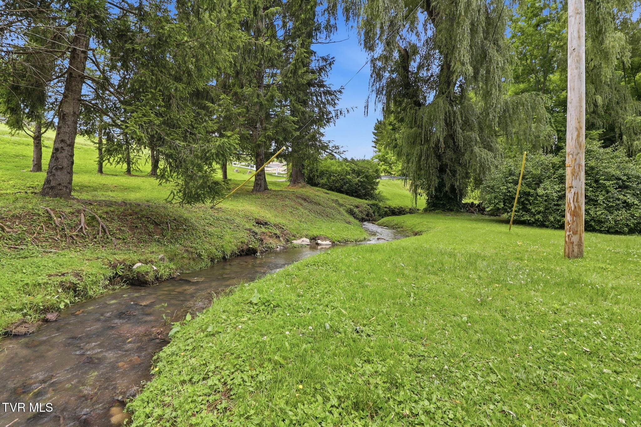7500 Pounding Mill Branch Road Tazewell, VA 24651 - Photo 6 of 61 6