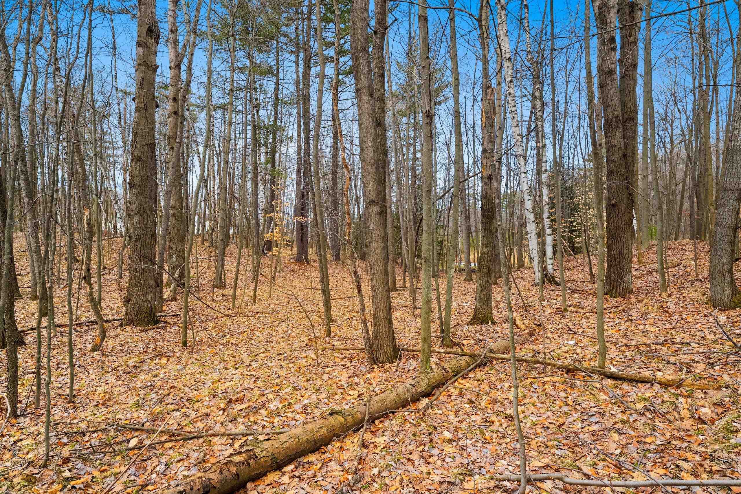 Birchwood Lane, Unit 3 Suring, WI 54174 - Photo 12 of 12