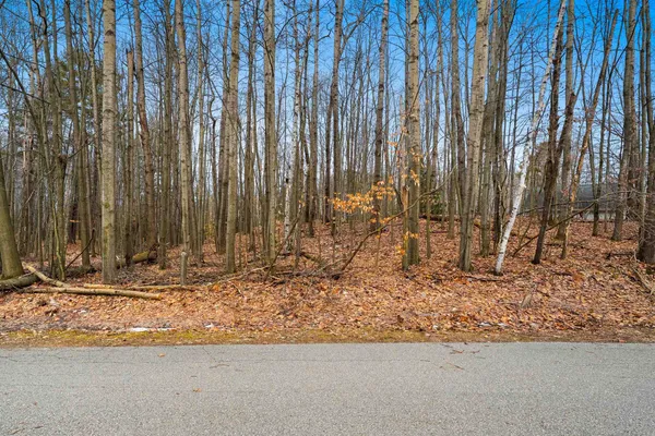 $109,900 | Birchwood Lane, Unit 3, Suring, WI 54174