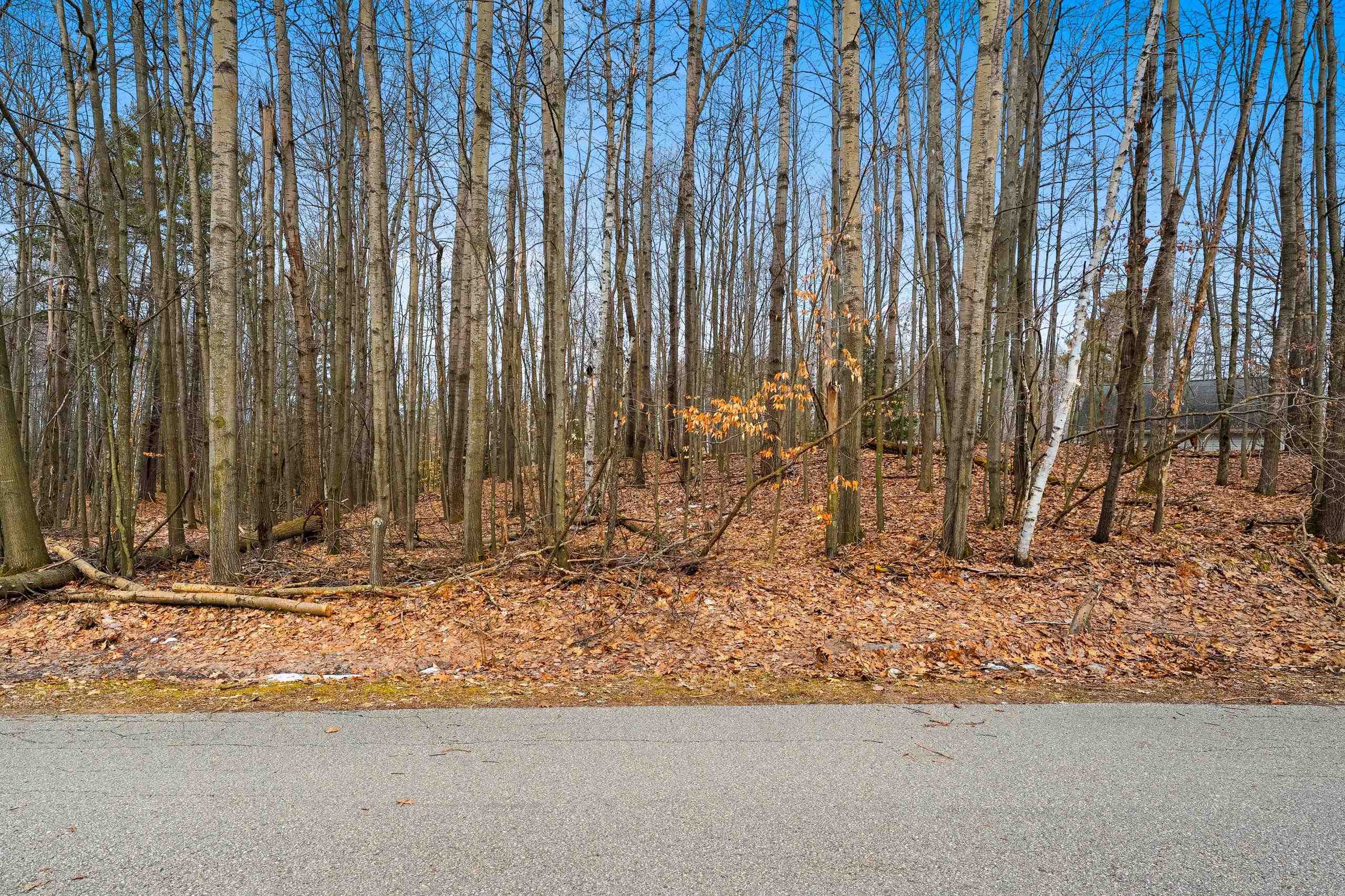 Birchwood Lane, Unit 3 Suring, WI 54174 - Photo 8 of 12