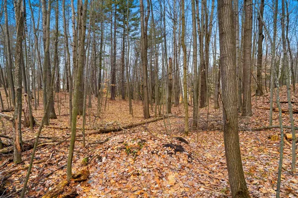 $109,900 | Birchwood Lane, Unit 3, Suring, WI 54174