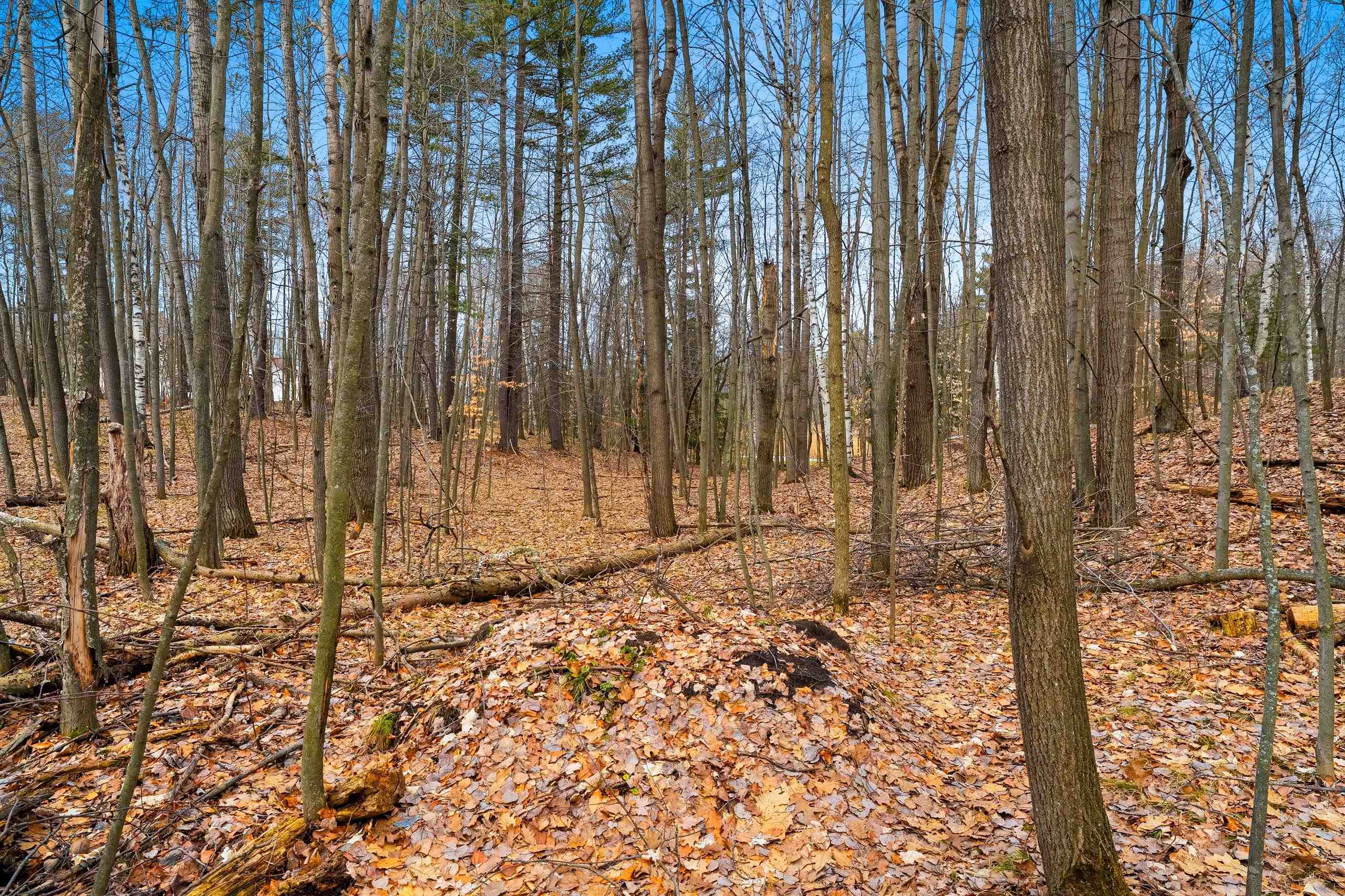 Birchwood Lane, Unit 3 Suring, WI 54174 - Photo 9 of 12