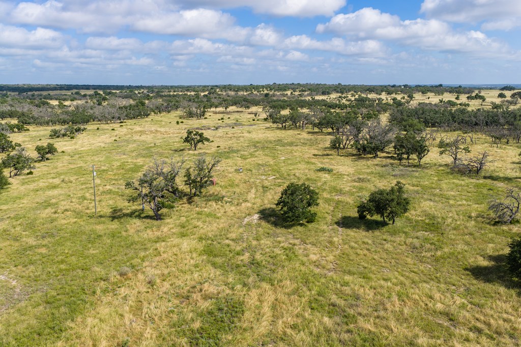 436 Stevens Ranch Road, Unit 8 Harper, TX 78631 - Photo 11 of 25