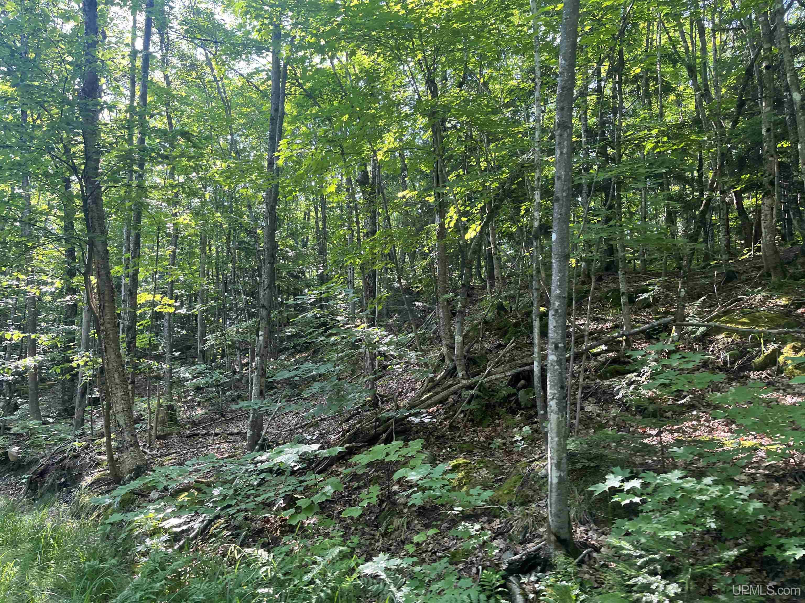 510 Rd Ishpeming Mi 49849 Road Negaunee, MI 49866 - Photo 14 of 33