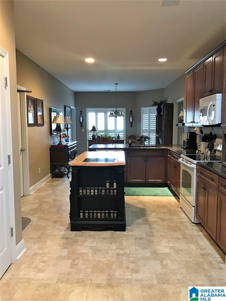 452 Chesser Plantation Lane Chelsea, AL 35043 - Photo 6 of 21