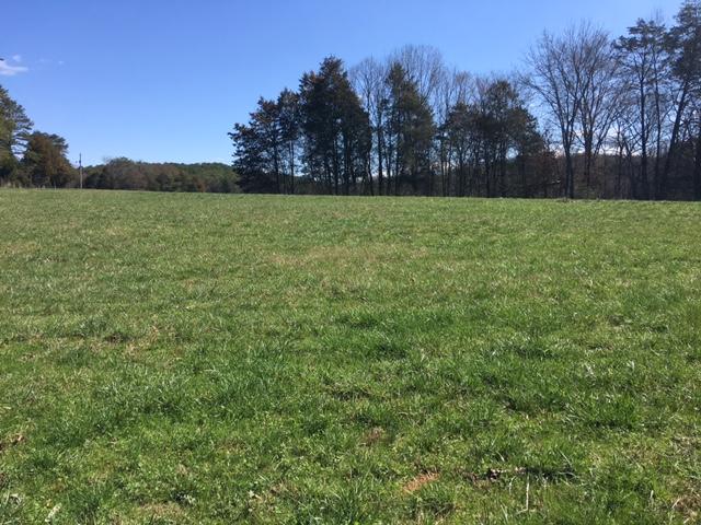 812 Randles Road Strawberry Plains, TN 37871 - Photo 1 of 27 Randles Rd, 812