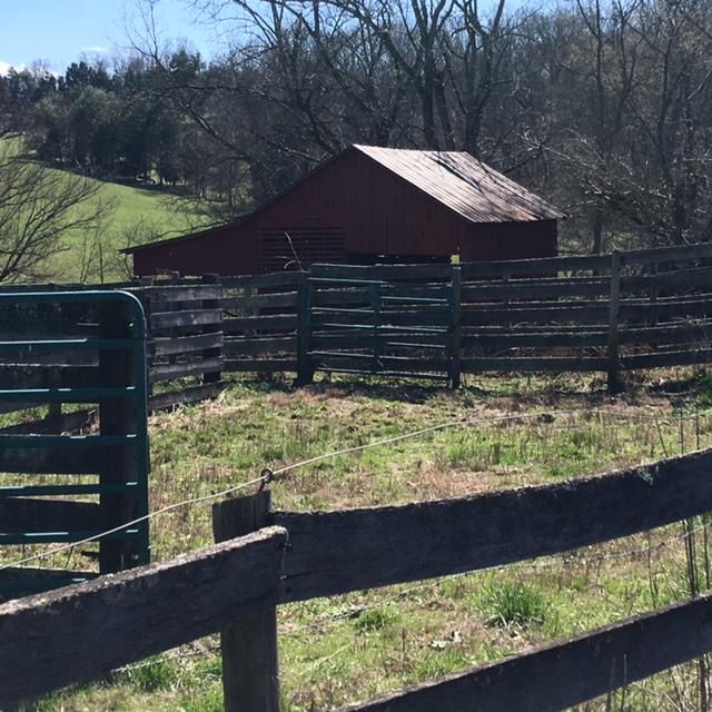 812 Randles Road Strawberry Plains, TN 37871 - Photo 11 of 27 IMG_1642