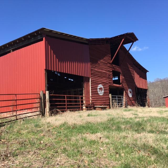 812 Randles Road Strawberry Plains, TN 37871 - Photo 12 of 27 IMG_1643