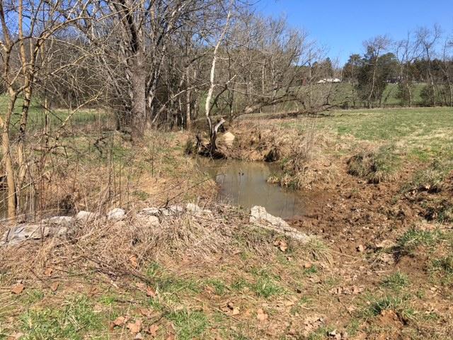812 Randles Road Strawberry Plains, TN 37871 - Photo 20 of 27 IMG_1656