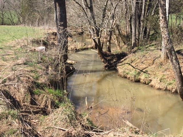 812 Randles Road Strawberry Plains, TN 37871 - Photo 21 of 27 IMG_1657