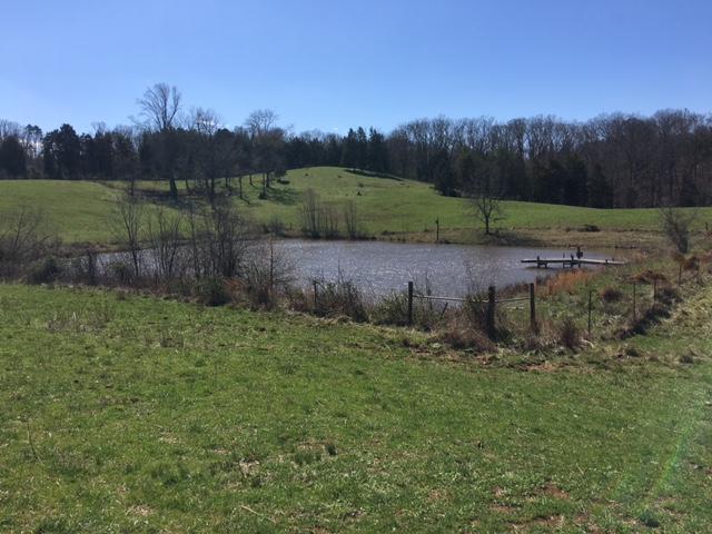 812 Randles Road Strawberry Plains, TN 37871 - Photo 23 of 27 IMG_1659