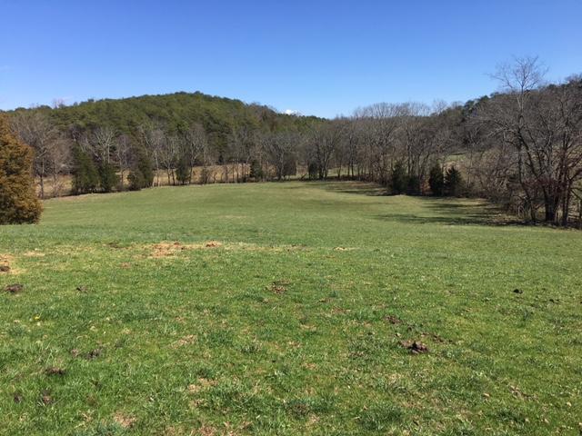 812 Randles Road Strawberry Plains, TN 37871 - Photo 24 of 27 IMG_1660