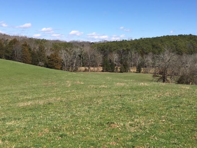 812 Randles Road Strawberry Plains, TN 37871 - Photo 25 of 27 IMG_1662