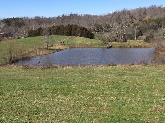 812 Randles Road Strawberry Plains, TN 37871 - Photo 26 of 27 IMG_1663