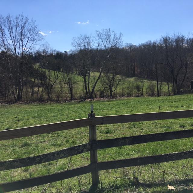 812 Randles Road Strawberry Plains, TN 37871 - Photo 5 of 27 IMG_1636