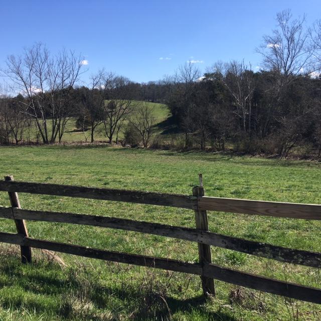 812 Randles Road Strawberry Plains, TN 37871 - Photo 6 of 27 IMG_1637