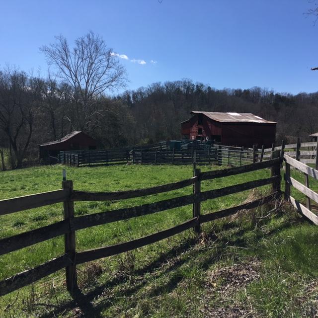 812 Randles Road Strawberry Plains, TN 37871 - Photo 7 of 27 IMG_1638