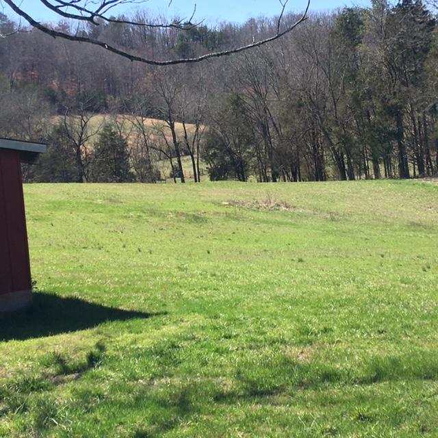 812 Randles Road Strawberry Plains, TN 37871 - Photo 10 of 27 IMG_1641