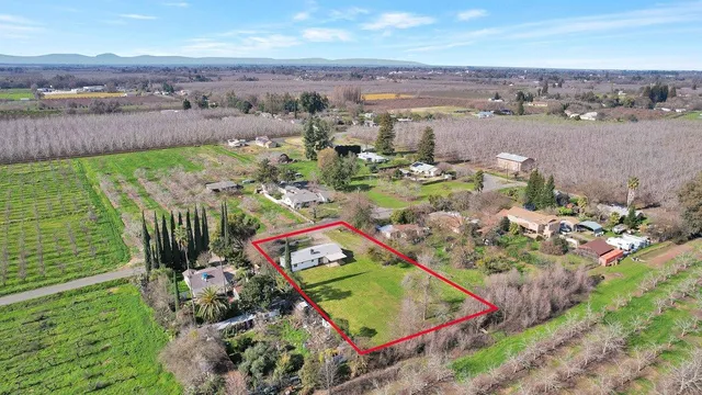 a view of a garden with a lake view
