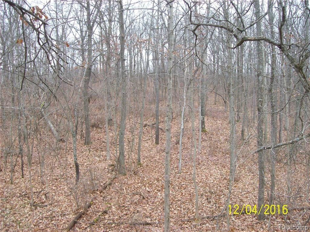 Na Moscow Road Jonesville, MI 49250 - Photo 13 of 36