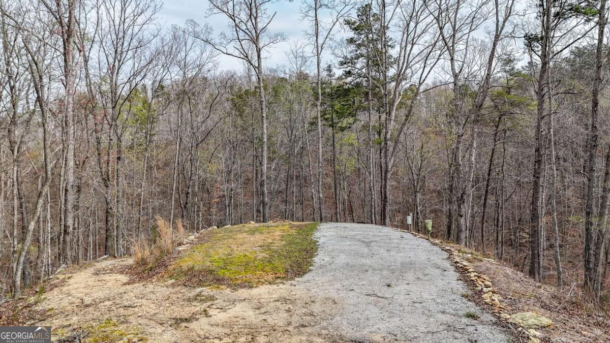 0 Felton Rockmart Road Buchanan, GA 30113 - Photo 9 of 47