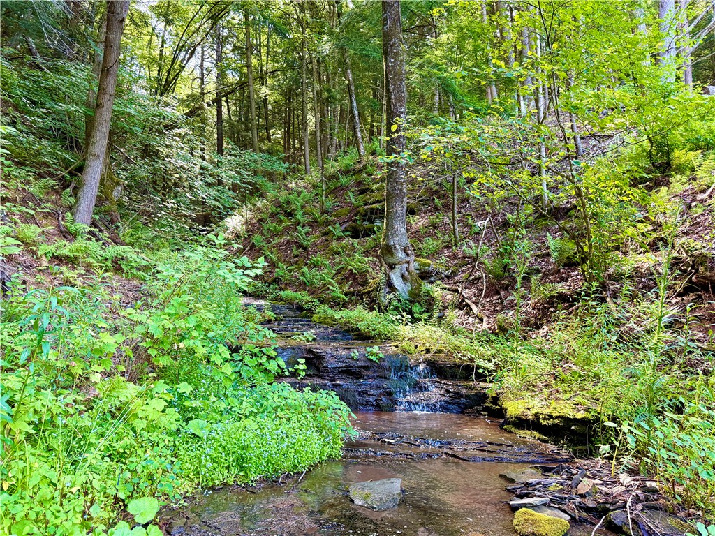 125 Airport Road Oneonta, NY 13820 - Photo 38 of 44