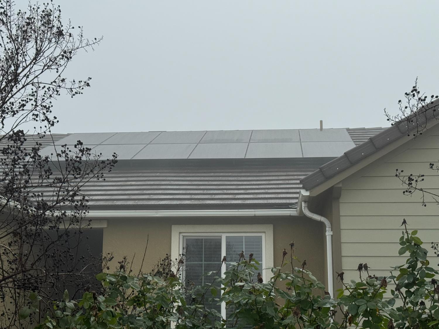 1726 Cleveland Street Selma, CA 93662 - Photo 16 of 17 a view of house with a yard and potted plants