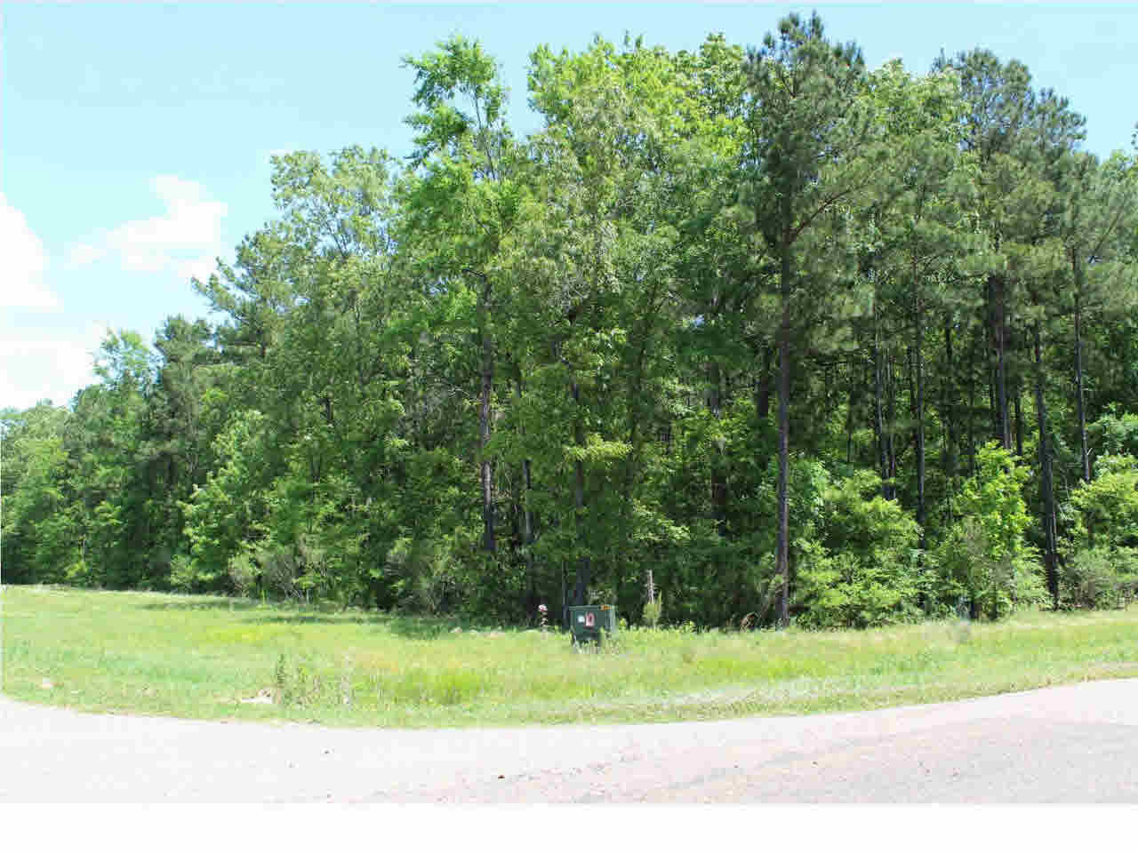 0 Woodbridge Road, Unit 57 Brandon, MS 39042 - Photo 1 of 1 Photo 1