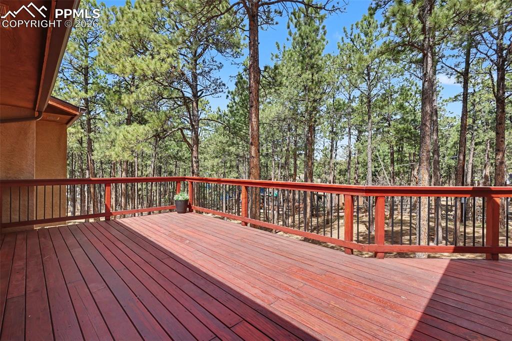 1060 Pleasant View Lane Colorado Springs, CO 80921 - Photo 15 of 50