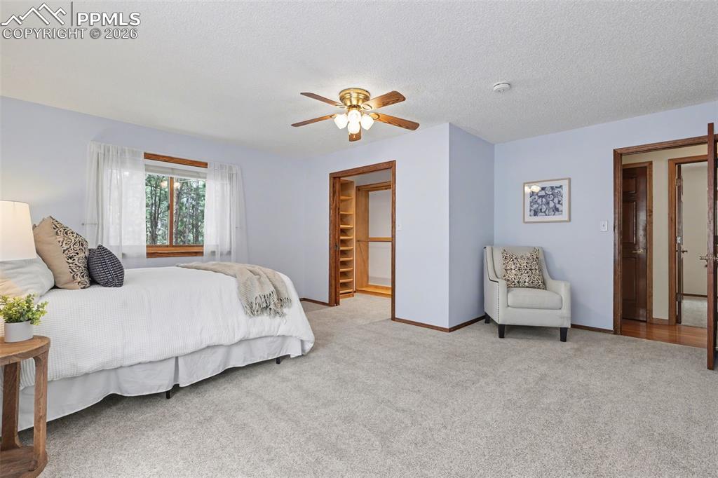 1060 Pleasant View Lane Colorado Springs, CO 80921 - Photo 17 of 50