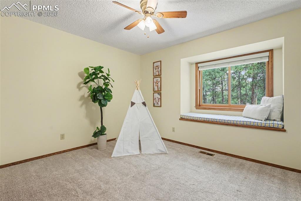 1060 Pleasant View Lane Colorado Springs, CO 80921 - Photo 23 of 50