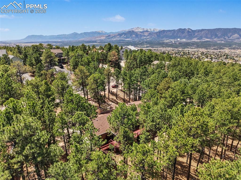 1060 Pleasant View Lane Colorado Springs, CO 80921 - Photo 41 of 50