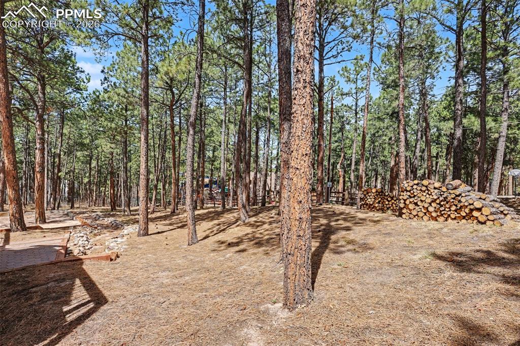 1060 Pleasant View Lane Colorado Springs, CO 80921 - Photo 46 of 48 a view of outdoor space with trees