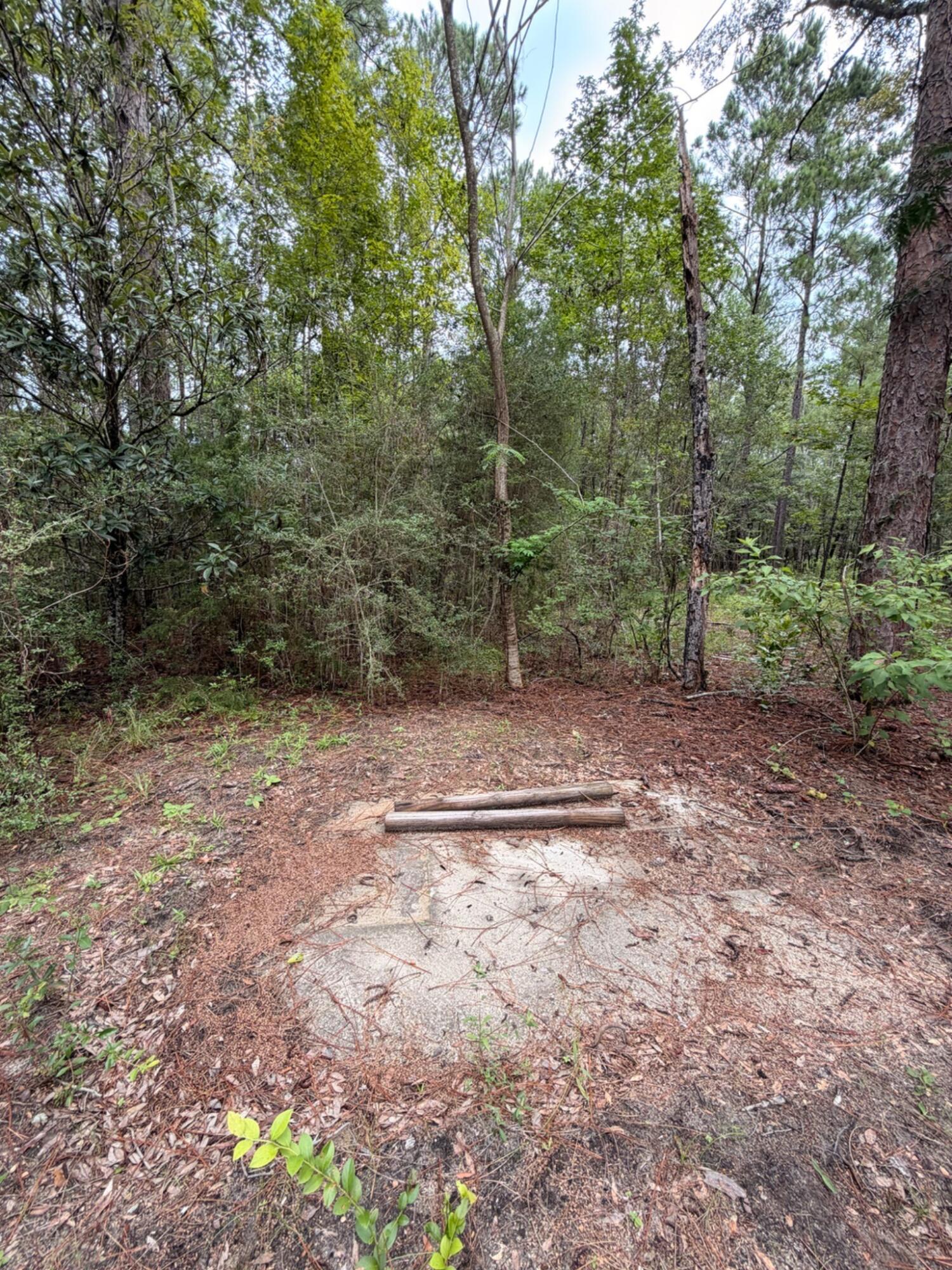 5266 Choctaw Road Vernon, FL 32462 - Photo 9 of 31 IMG_2635_MLS