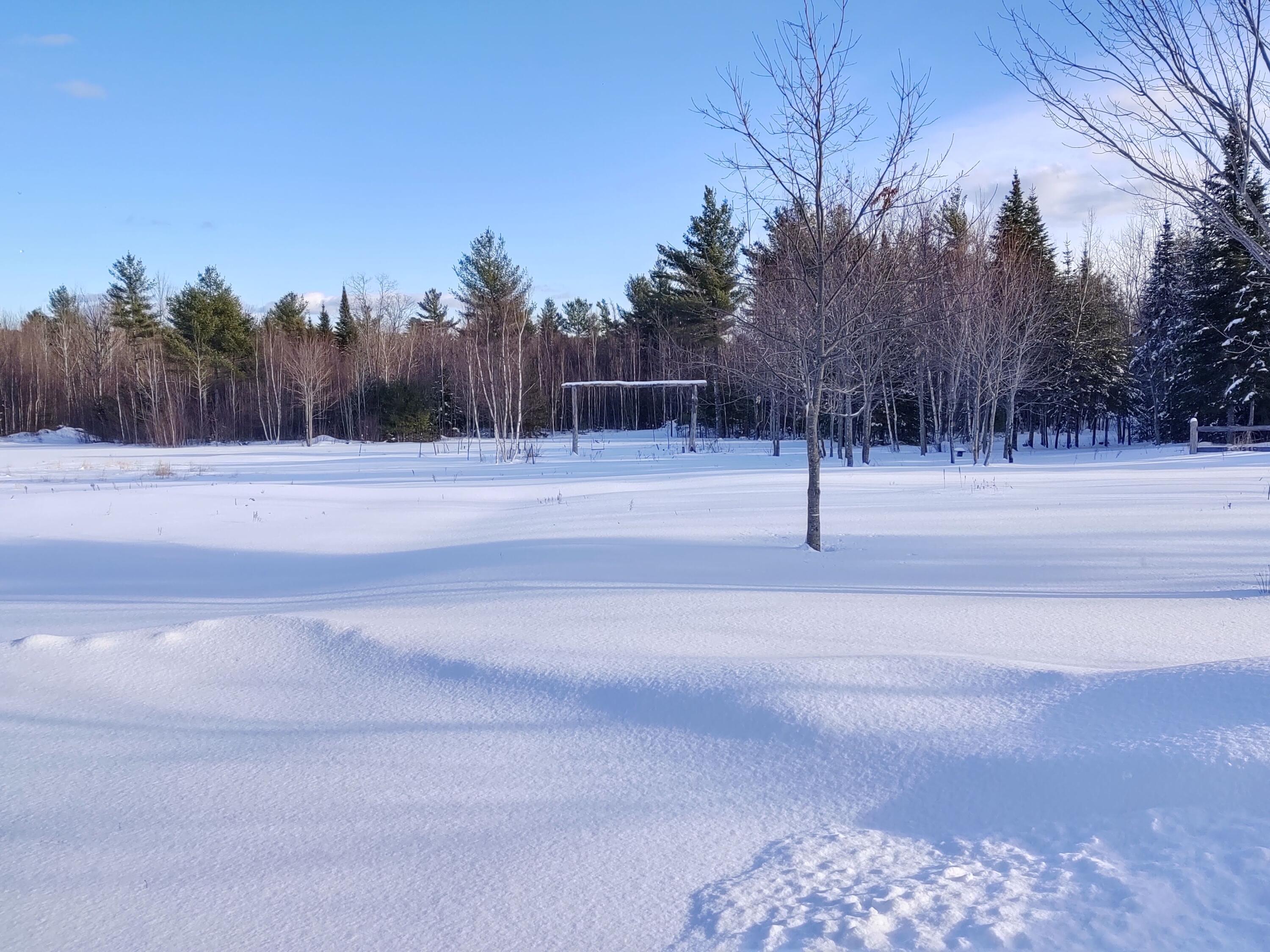 86 Goulds Ridge Road Passadumkeag, ME 04475 - Photo 15 of 83 IMG_20200212_150816391_HDR