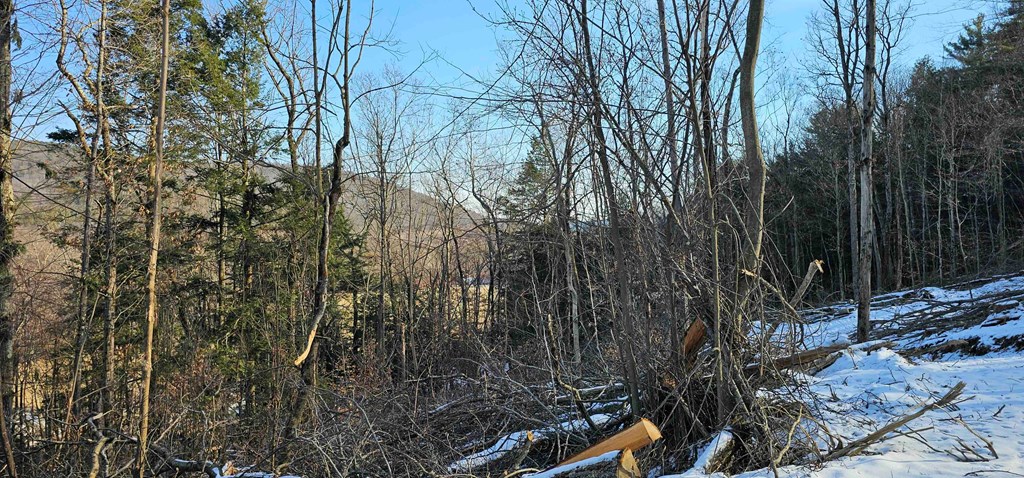 0 Jenkins Road Elmira, NY 14901 - Photo 18 of 25