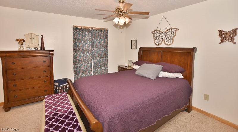 5007 Raven Road Southeast Carrollton, OH 44615 - Photo 18 of 50 The master bedroom is very spacious and includes 2 closets for the new owners