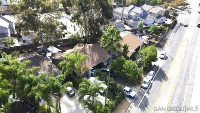 a plant with lots of flowers