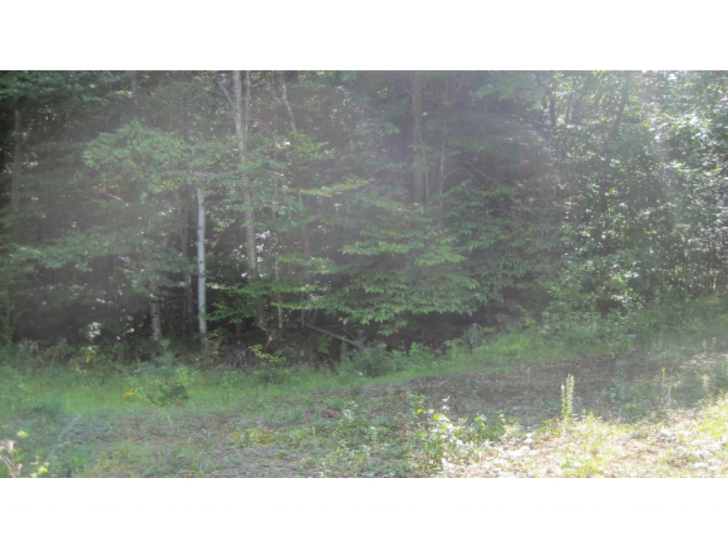 0 Champney Road Stoddard, NH 03464 - Photo 4 of 4 Gallery Image 4
