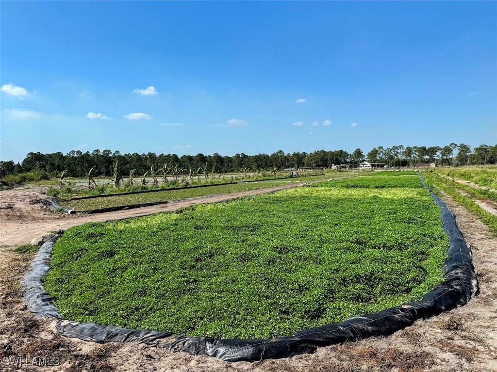 2521 Christopher Lane Clewiston, FL 33440 - Photo 3 of 33