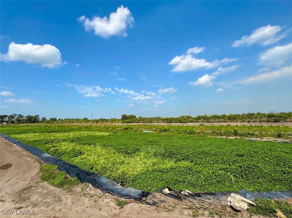 2521 Christopher Lane Clewiston, FL 33440 - Photo 4 of 33