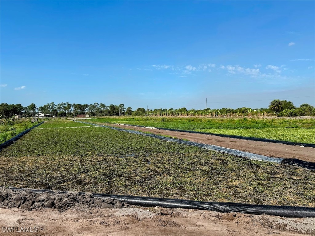 2521 Christopher Lane Clewiston, FL 33440 - Photo 5 of 33